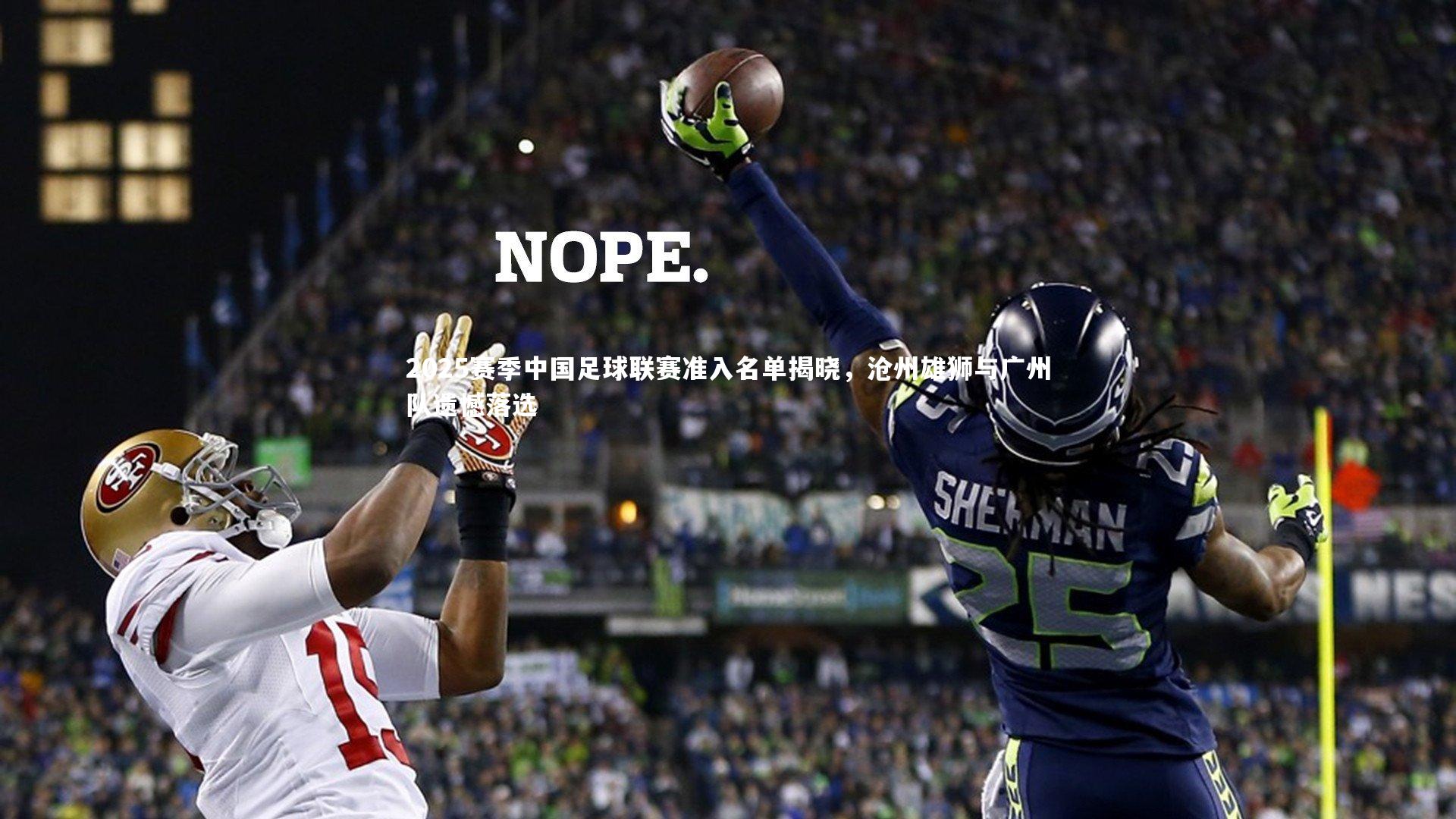 九游体育：2025赛季中国足球联赛准入名单揭晓，沧州雄狮与广州队遗憾落选